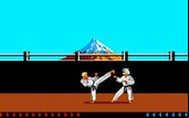 Karateka - DOSBOX